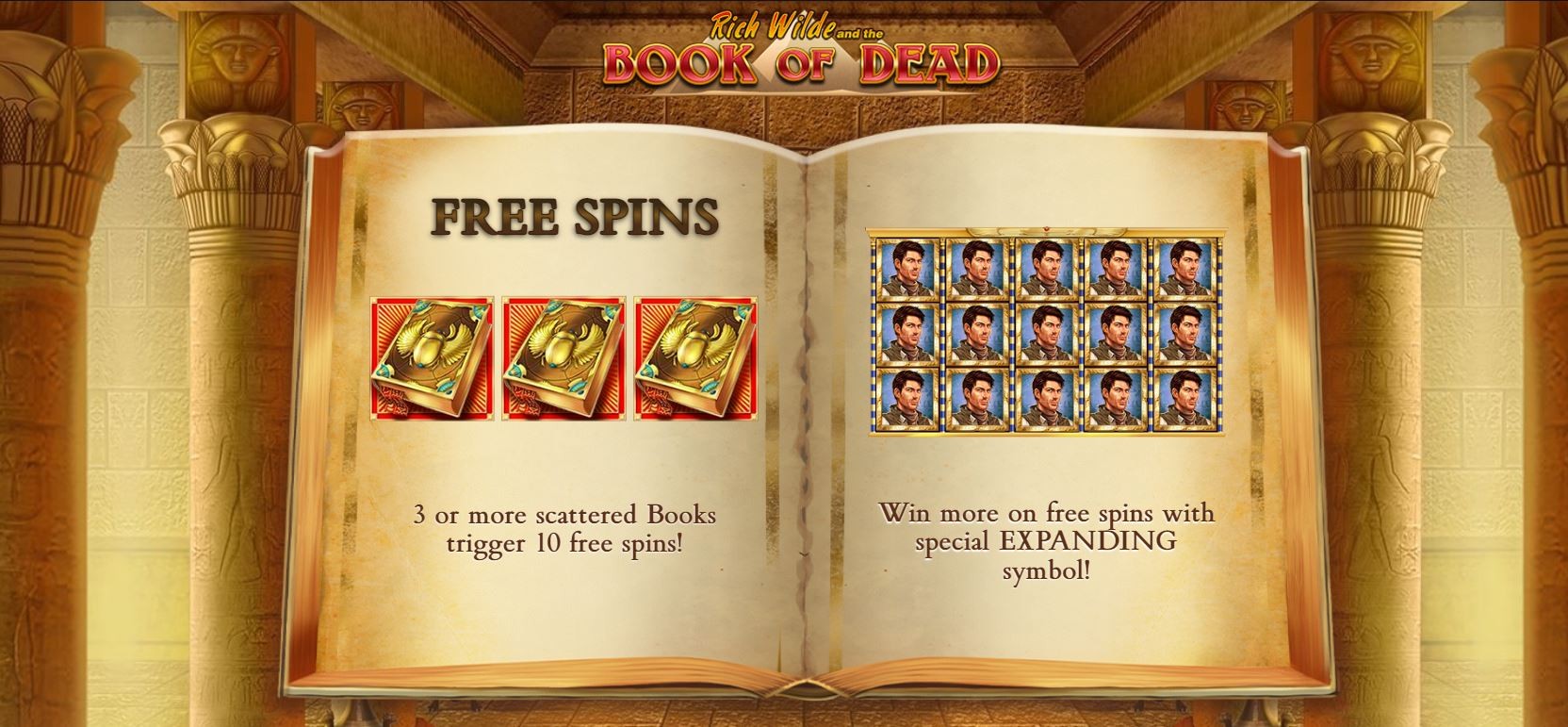 Book of Dead online slot