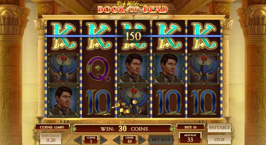 The reels of Book of Dead slot